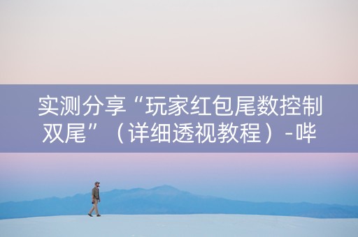 实测分享“玩家红包尾数控制双尾”（详细透视教程）-哔哩哔哩