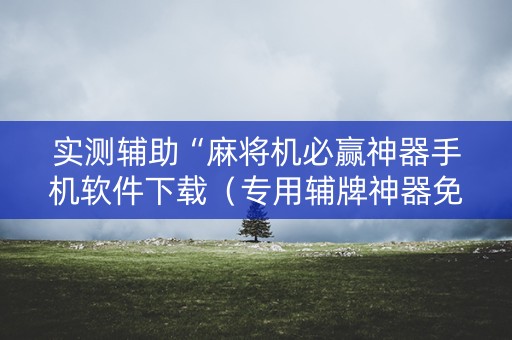 实测辅助“麻将机必赢神器手机软件下载（专用辅牌神器免安装）
