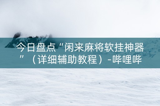 今日盘点“闲来麻将软挂神器”（详细辅助教程）-哔哩哔哩