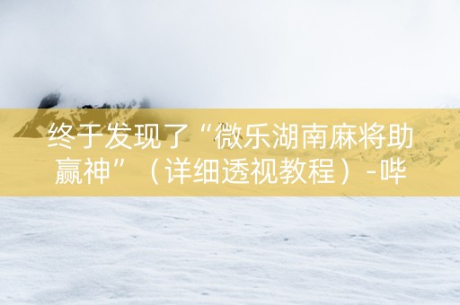 终于发现了“微乐湖南麻将助赢神”（详细透视教程）-哔哩哔哩