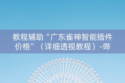 教程辅助“广东雀神智能插件价格”（详细透视教程）-哔哩哔哩