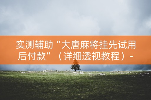实测辅助“大唐麻将挂先试用后付款”（详细透视教程）-哔哩哔哩