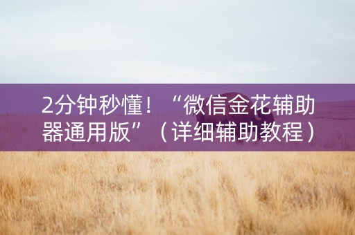 2分钟秒懂！“微信金花辅助器通用版”（详细辅助教程）-哔哩哔哩
