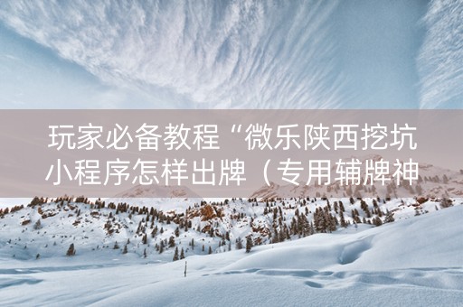 玩家必备教程“微乐陕西挖坑小程序怎样出牌（专用辅牌神器免安装）