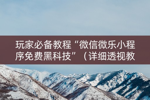 玩家必备教程“微信微乐小程序免费黑科技”（详细透视教程）-哔哩哔哩