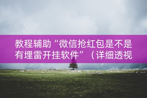 教程辅助“微信抢红包是不是有埋雷开挂软件”（详细透视教程）-哔哩哔哩