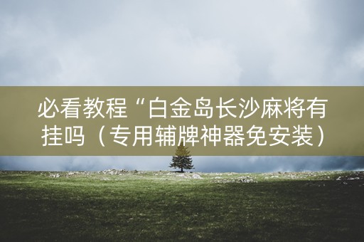 必看教程“白金岛长沙麻将有挂吗（专用辅牌神器免安装）