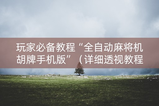 玩家必备教程“全自动麻将机胡牌手机版”（详细透视教程）-哔哩哔哩