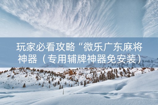 玩家必看攻略“微乐广东麻将神器（专用辅牌神器免安装）
