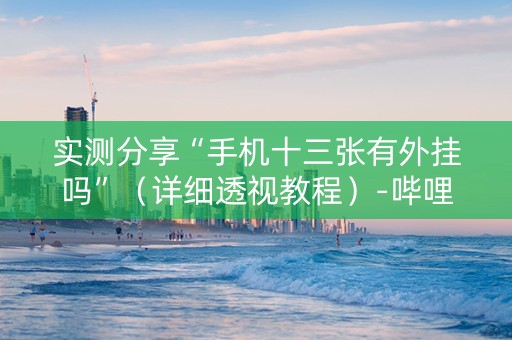 实测分享“手机十三张有外挂吗”（详细透视教程）-哔哩哔哩