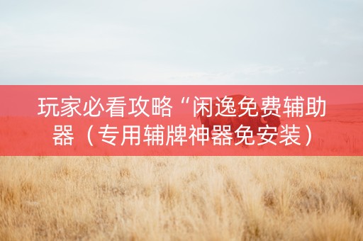 玩家必看攻略“闲逸免费辅助器（专用辅牌神器免安装）