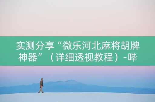 实测分享“微乐河北麻将胡牌神器”（详细透视教程）-哔哩哔哩