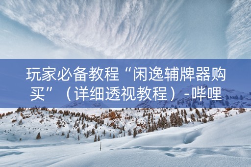 玩家必备教程“闲逸辅牌器购买”（详细透视教程）-哔哩哔哩