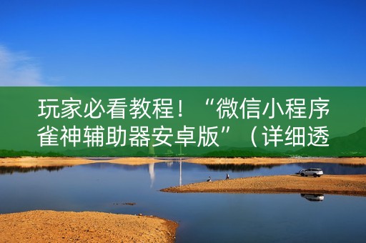 玩家必看教程！“微信小程序雀神辅助器安卓版”（详细透视教程）-哔哩哔哩