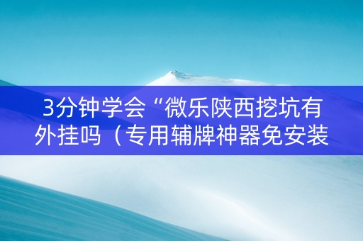 3分钟学会“微乐陕西挖坑有外挂吗（专用辅牌神器免安装）