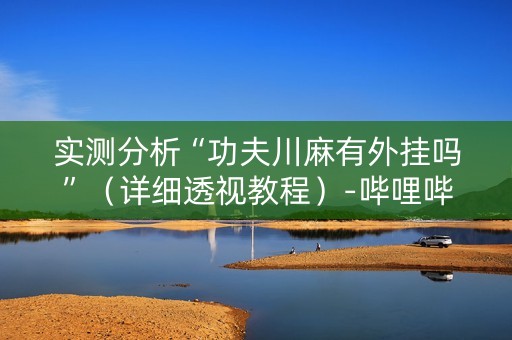 实测分析“功夫川麻有外挂吗”（详细透视教程）-哔哩哔哩