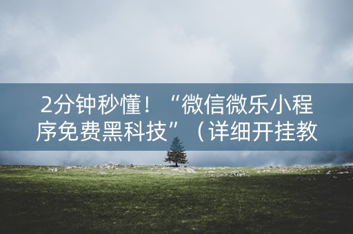 2分钟秒懂！“微信微乐小程序免费黑科技”（详细开挂教程）-哔哩哔哩