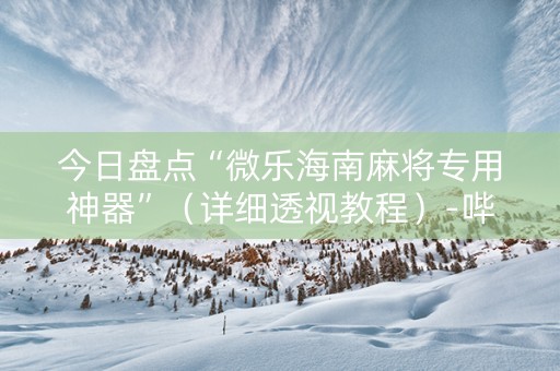 今日盘点“微乐海南麻将专用神器”（详细透视教程）-哔哩哔哩