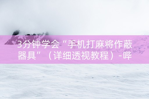 3分钟学会“手机打麻将作蔽器具”（详细透视教程）-哔哩哔哩