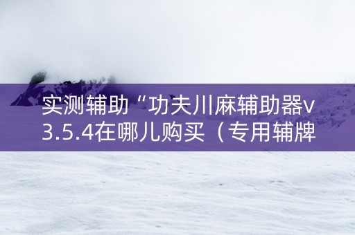 实测辅助“功夫川麻辅助器v3.5.4在哪儿购买（专用辅牌神器免安装）
