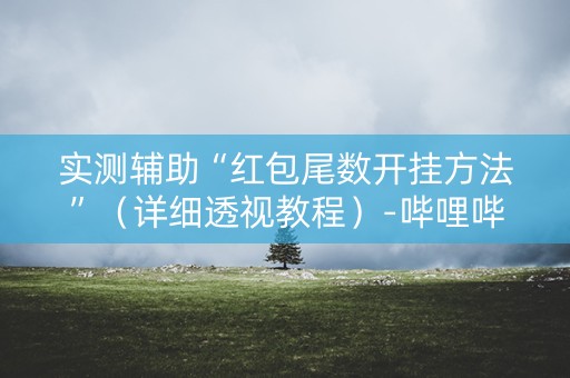 实测辅助“红包尾数开挂方法”（详细透视教程）-哔哩哔哩