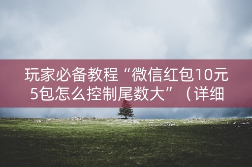 玩家必备教程“微信红包10元5包怎么控制尾数大”（详细透视教程）-哔哩哔哩