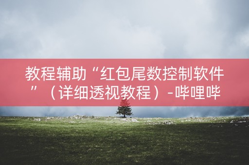 教程辅助“红包尾数控制软件”（详细透视教程）-哔哩哔哩