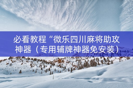 必看教程“微乐四川麻将助攻神器（专用辅牌神器免安装）