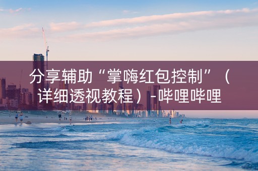 分享辅助“掌嗨红包控制”（详细透视教程）-哔哩哔哩