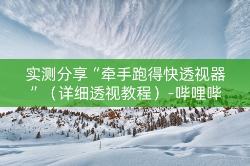 实测分享“牵手跑得快透视器”（详细透视教程）-哔哩哔哩