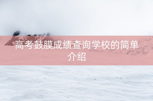 高考鼓膜成绩查询学校的简单介绍
