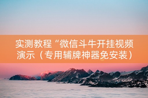 实测教程“微信斗牛开挂视频演示（专用辅牌神器免安装）