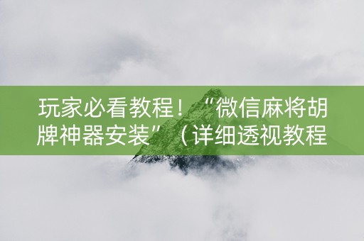 玩家必看教程！“微信麻将胡牌神器安装”（详细透视教程）-哔哩哔哩