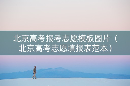 北京高考报考志愿模板图片（北京高考志愿填报表范本）