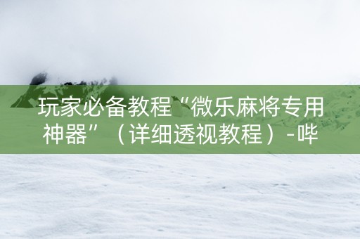 玩家必备教程“微乐麻将专用神器”（详细透视教程）-哔哩哔哩