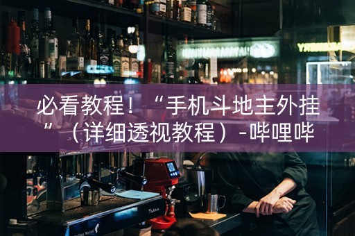 必看教程！“手机斗地主外挂”（详细透视教程）-哔哩哔哩