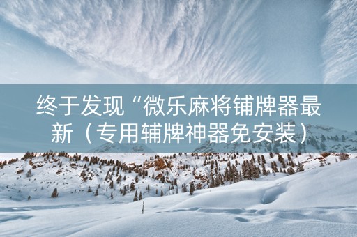 终于发现“微乐麻将铺牌器最新（专用辅牌神器免安装）