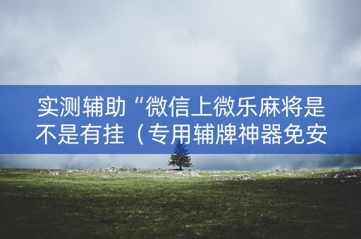 实测辅助“微信上微乐麻将是不是有挂（专用辅牌神器免安装）
