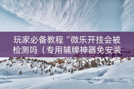玩家必备教程“微乐开挂会被检测吗（专用辅牌神器免安装）