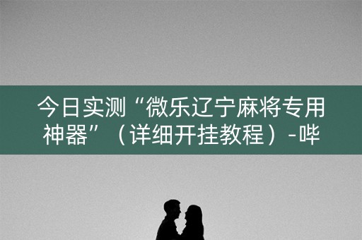 今日实测“微乐辽宁麻将专用神器”（详细开挂教程）-哔哩哔哩