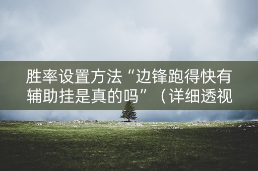 胜率设置方法“边锋跑得快有辅助挂是真的吗”（详细透视教程）-哔哩哔哩