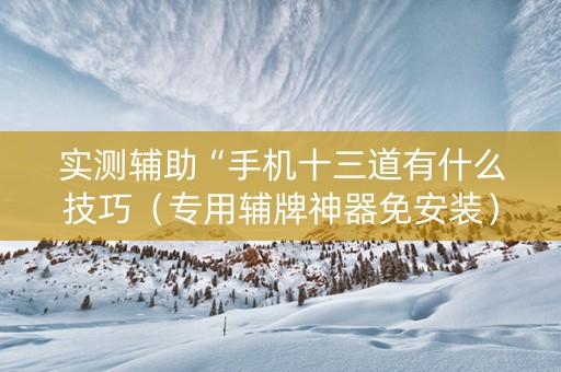 实测辅助“手机十三道有什么技巧（专用辅牌神器免安装）