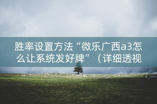 胜率设置方法“微乐广西a3怎么让系统发好牌”（详细透视教程）-哔哩哔哩