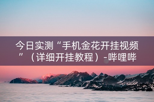 今日实测“手机金花开挂视频”（详细开挂教程）-哔哩哔哩