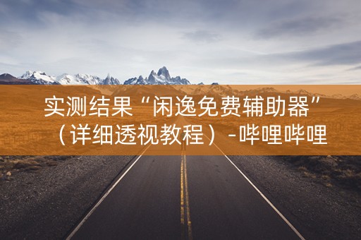 实测结果“闲逸免费辅助器”（详细透视教程）-哔哩哔哩