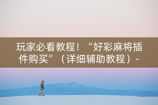 玩家必看教程！“好彩麻将插件购买”（详细辅助教程）-哔哩哔哩