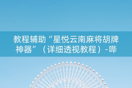 教程辅助“星悦云南麻将胡牌神器”（详细透视教程）-哔哩哔哩