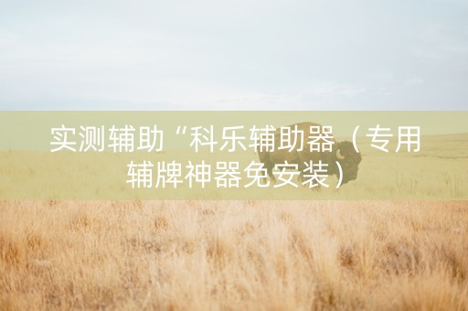实测辅助“科乐辅助器（专用辅牌神器免安装）