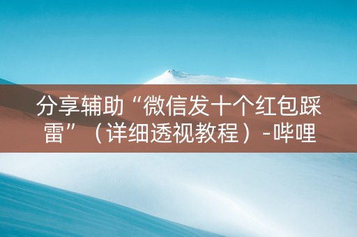 分享辅助“微信发十个红包踩雷”（详细透视教程）-哔哩哔哩