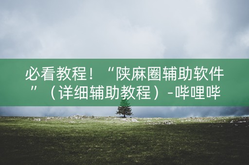 必看教程！“陕麻圈辅助软件”（详细辅助教程）-哔哩哔哩